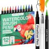 12 Brush Tip