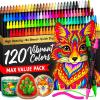 imageARTISTRO 120 Acrylic Paint Markers for Rock Fabric Wood Glass Decoration  DualTip Paint Pens for Coloring Books for Adults Teens Kids  Art and Craft Supplies Kit  Gift Idea
